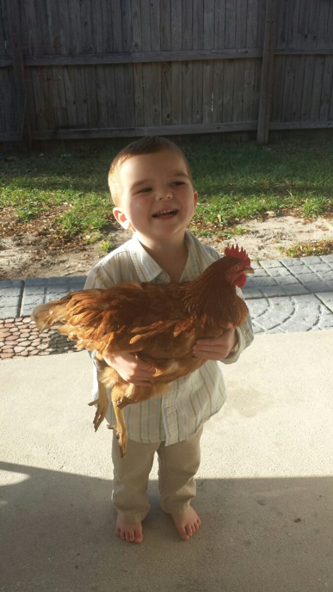young boy holding a chicken