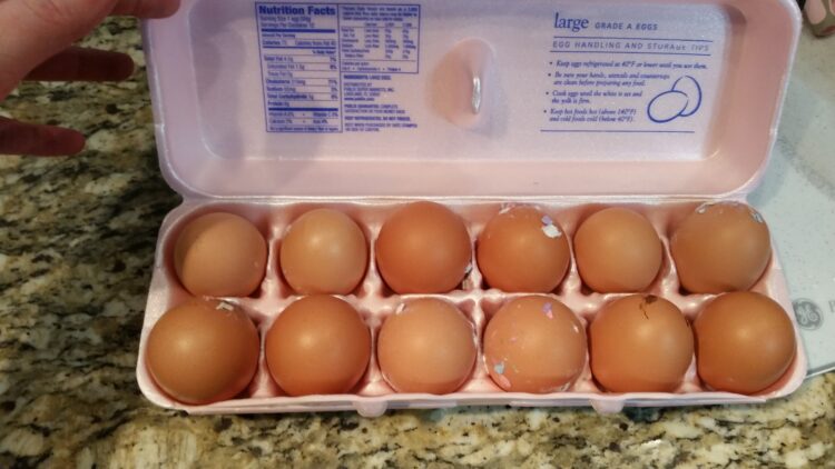 farm fresh eggs in a carton with feathers