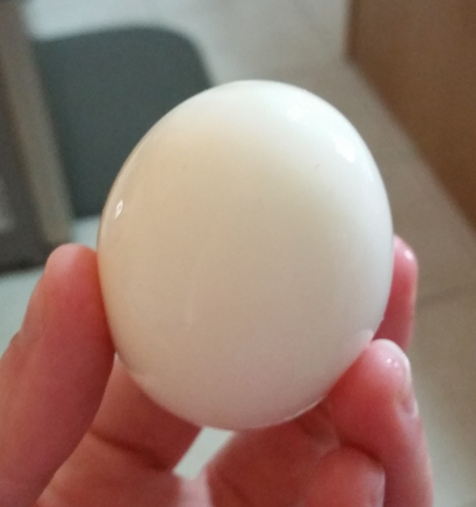 farm fresh hard boiled egg held in fingers