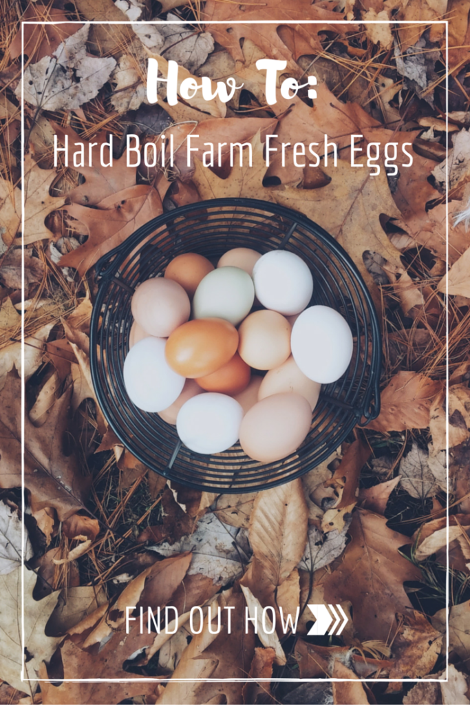 The information in this post will change your life.....well, it did for me and a few of my friends. Continue reading to learn how to boil fresh farm eggs so they peel easily.