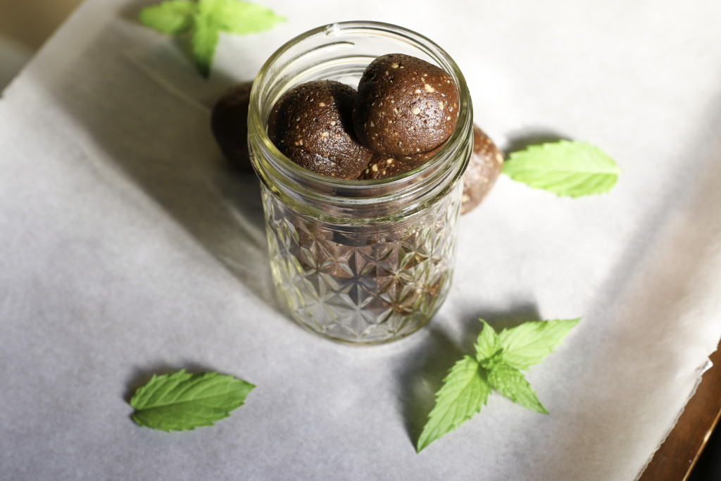 Can't wait for the holiday's to get here? Try this Thin Mint Date Protein Balls Recipe to get you in the holiday spirit. They are high in protein, gluten free, and can be made vegan by substituting with a vegan protein powder. 