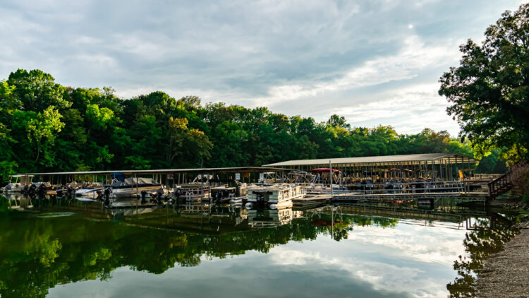 view of boats at the Guist Creek Marina