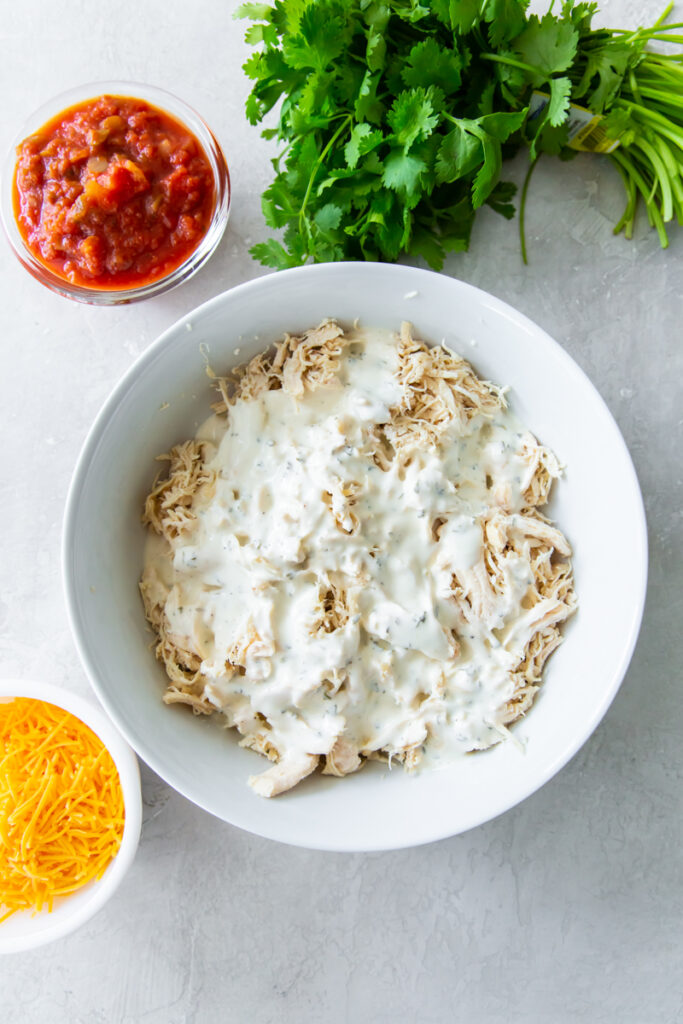 Creamy Salsa Chicken Recipe - Lara Clevenger