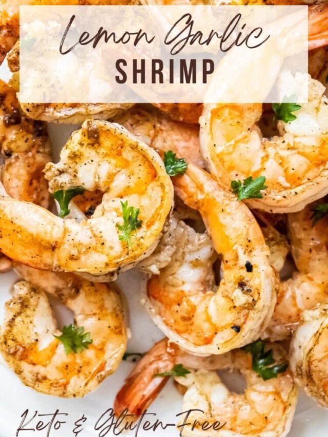 Blackstone Lemon Garlic Shrimp Lara Clevenger