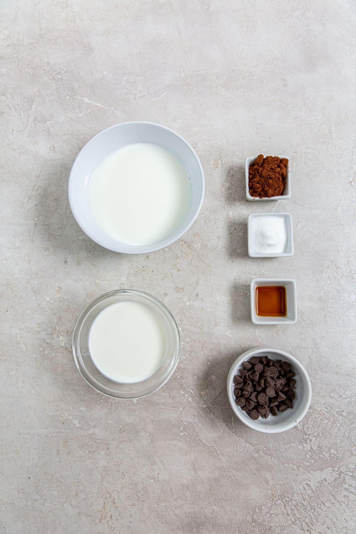 ingredients to make chocolate ice cream with chocolate chips