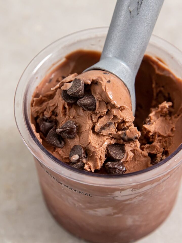 Chocolate Protein Ice Cream Recipe without Bananas Lara Clevenger