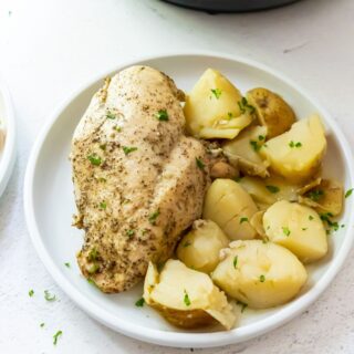 Cooked and seasoned chicken breast with quartered potatoes on a white plate.