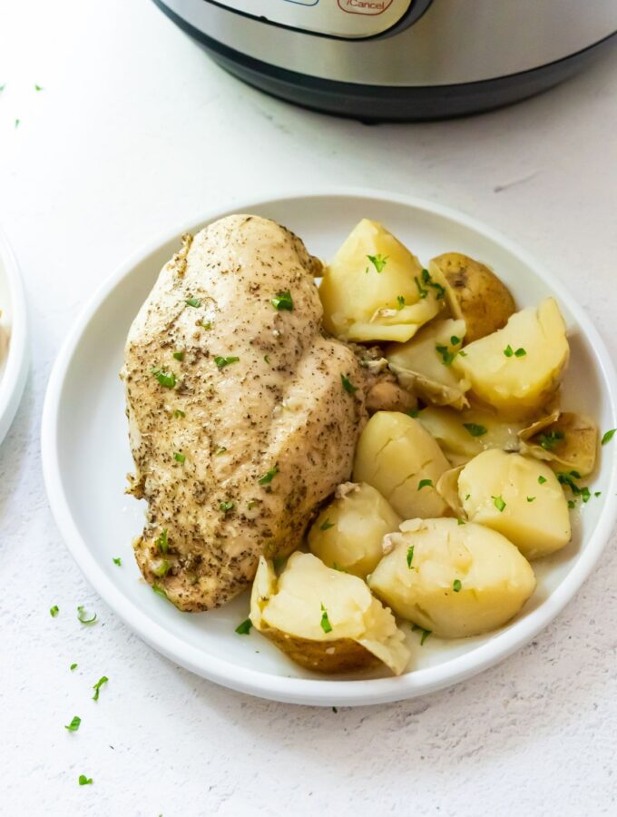 Cooked and seasoned chicken breast with quartered potatoes on a white plate.