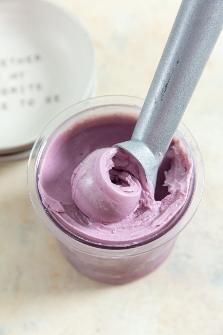 Blueberry Frozen Yogurt Recipe Ninja Creami Lara Clevenger