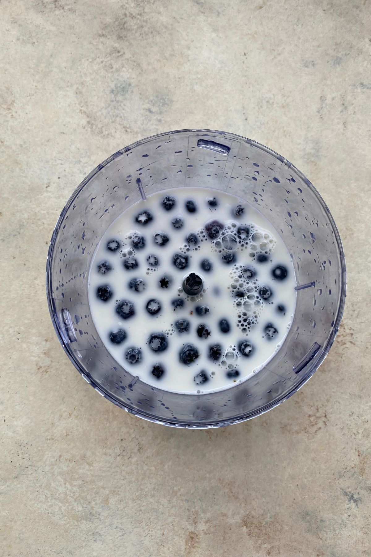 A bowl filled with blueberries and a scoop of blueberry ice cream.