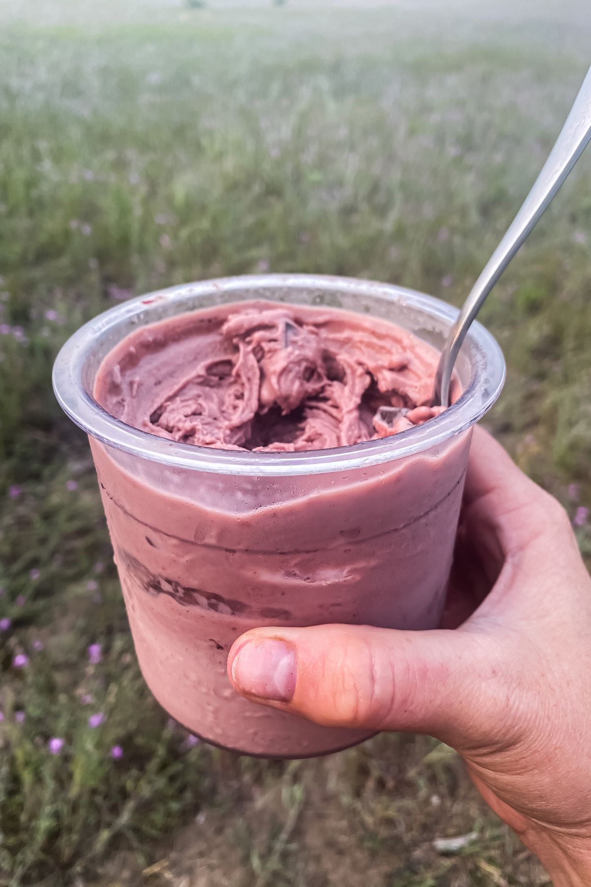 A person holding a cup of cherry chocolate chip ice cream in the middle of a field.