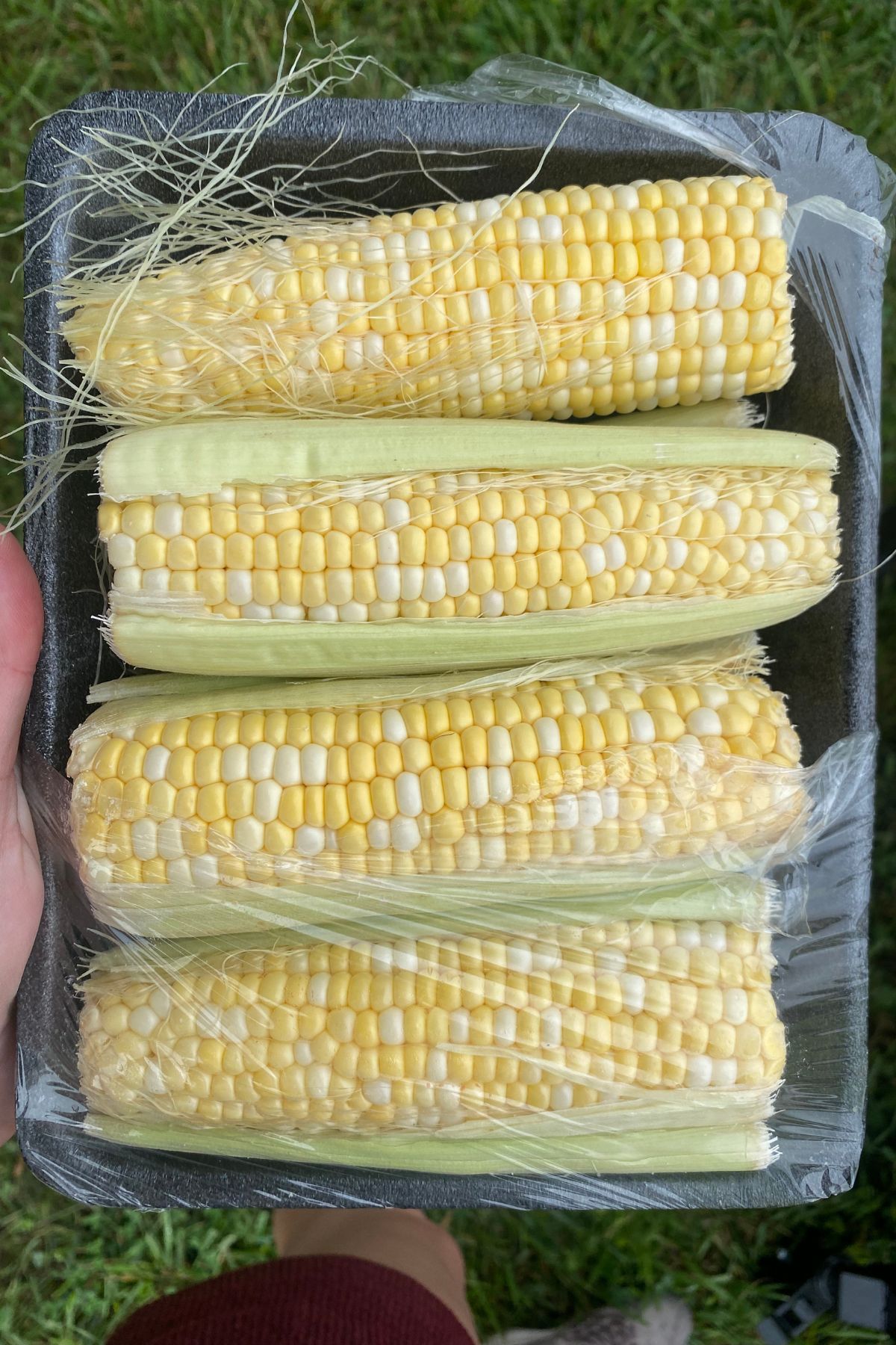 Corn on the cob in a plastic container.