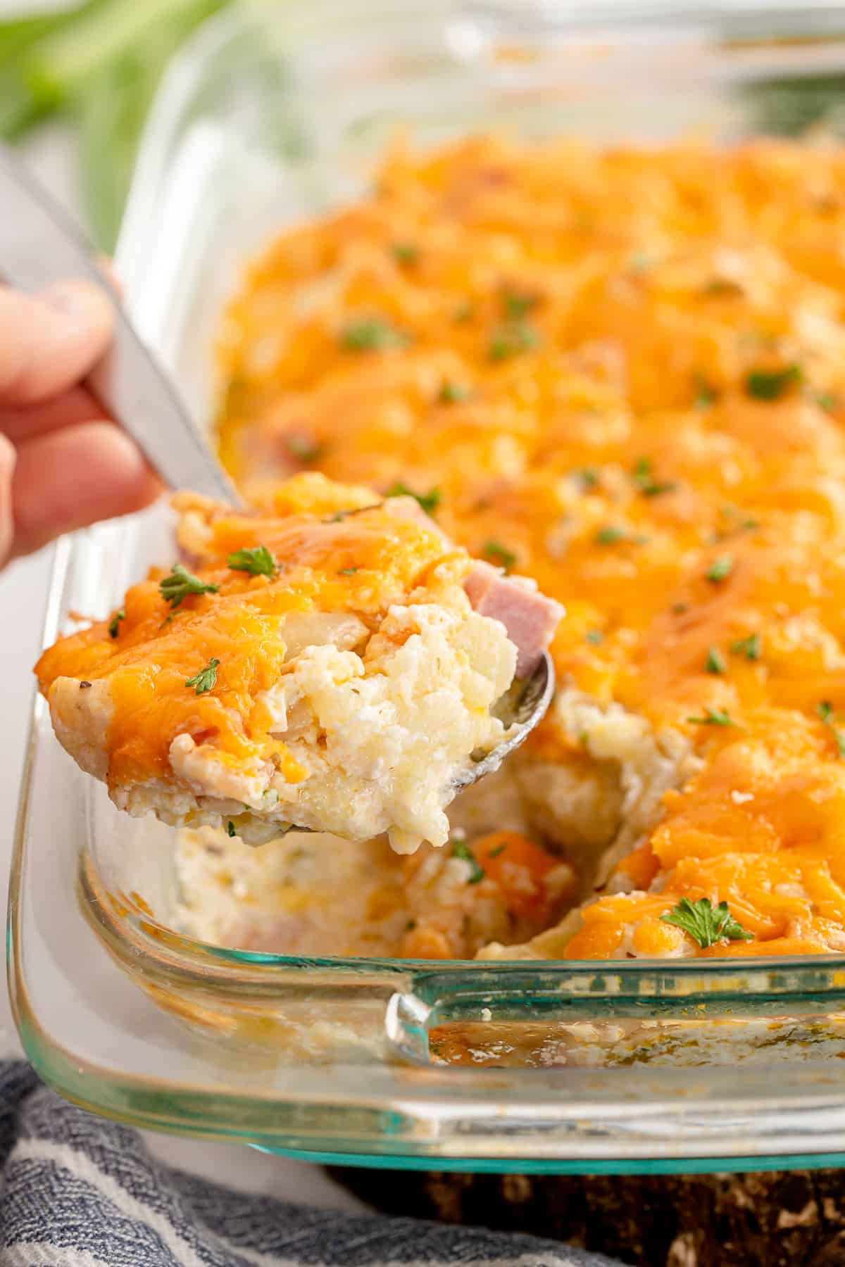 A glass baking dish filled with a cheesy casserole. A spoon is lifting a portion, revealing perfectly blended casseroles that mix cheese, rice, and garnished herbs into a mouthwatering delight.