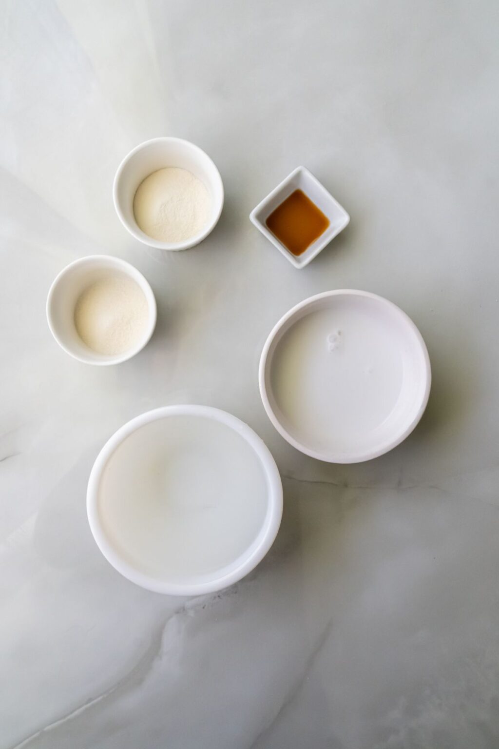 ingredients to make coconut ice cream.
