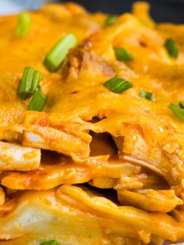 Buffalo chicken ravioli in a plate