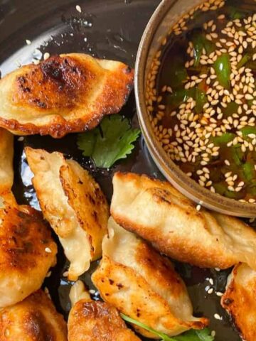 Pan-Fried Dumplings in a plate with sauce on the side