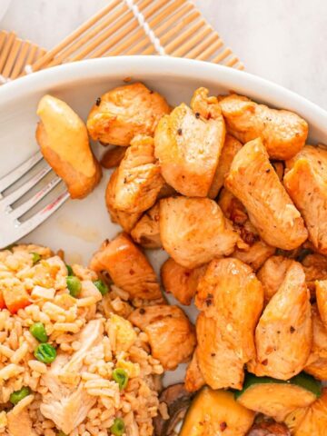 stir fried chicken with fried rice with fork on a plate