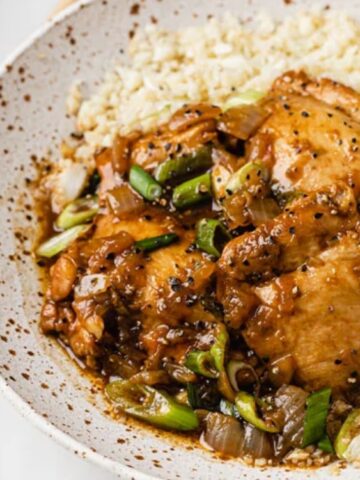 rice with chicken, onion and onion leaks on plate