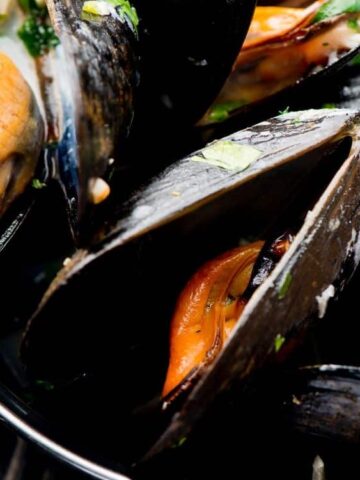 Mussels in Cream Sauce in a bowl