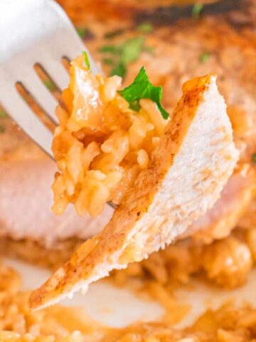 pork chop with rice