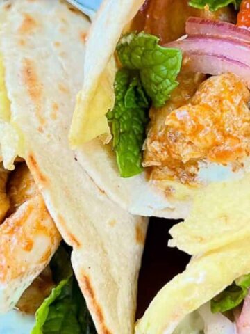 chicken, onion, mint leaves and yogurt rolled in pita wrap